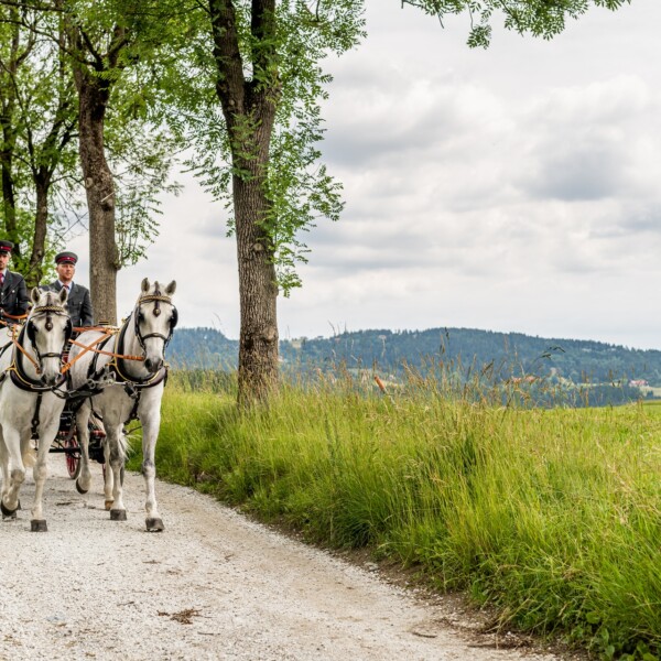 Lipizzanergestüt Piber (c) TV Region Graz - Die Abbilderei (7)